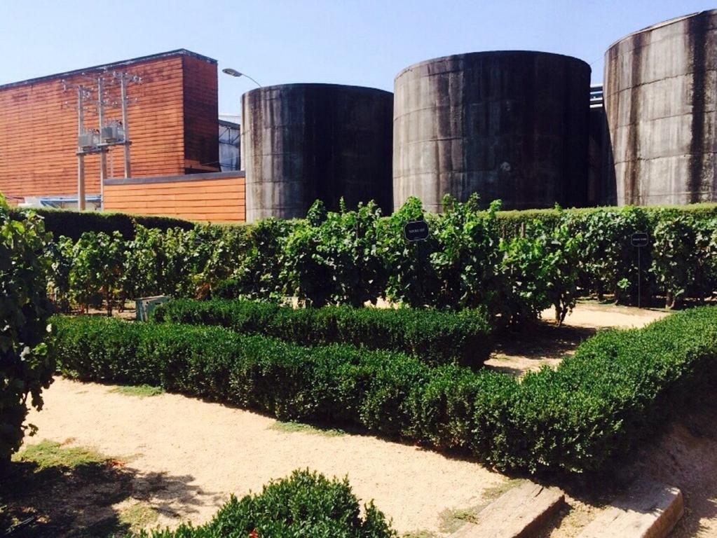 סנטיאגו Ams Apartments Monjitas מראה חיצוני תמונה